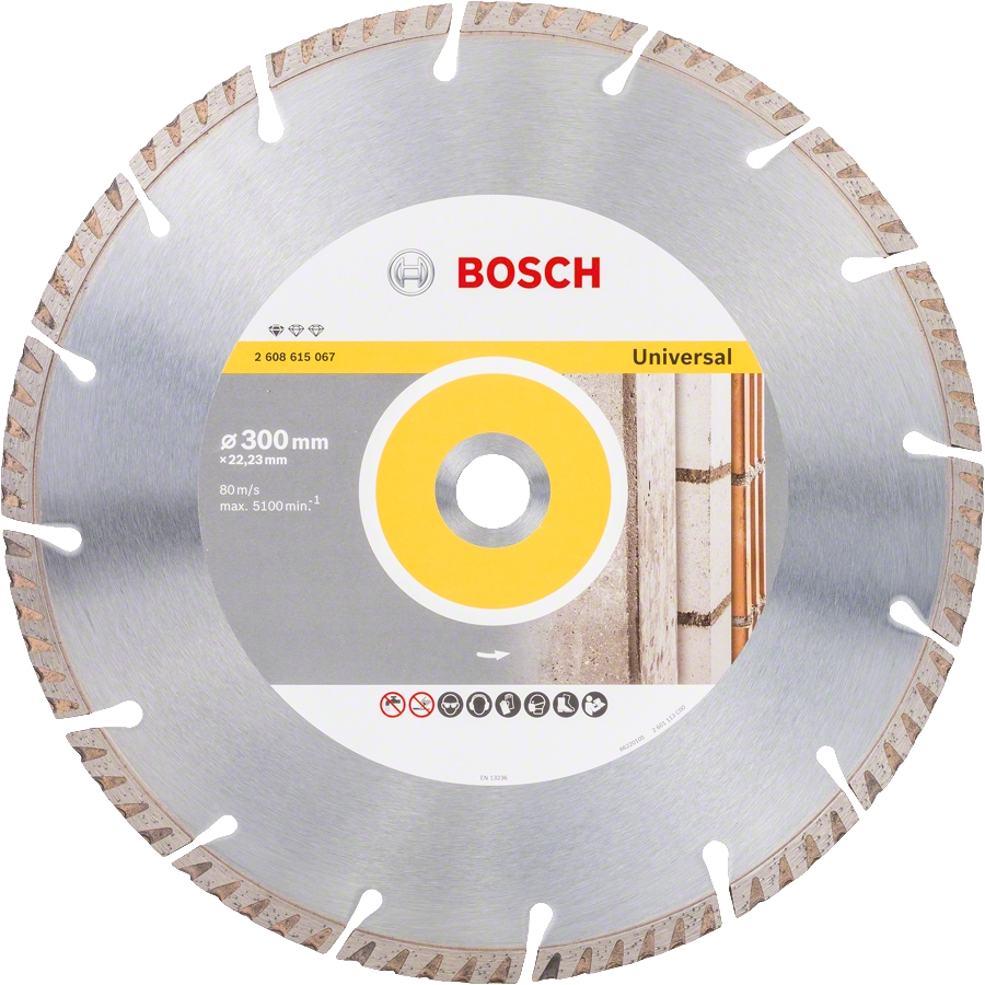 Kotouč DIA Bosch Best for Universal 300×22